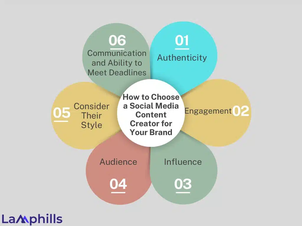 How to Choose a Social Media Content Creator 6 Best Tips for Your Brand