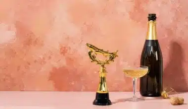 Nigerian Finest Champagne Brands of 2024